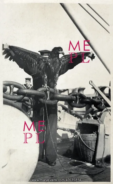 : Aircraft carrier HMS Eagle with mascot : Aircraft carrier HMS Eagle with mascot