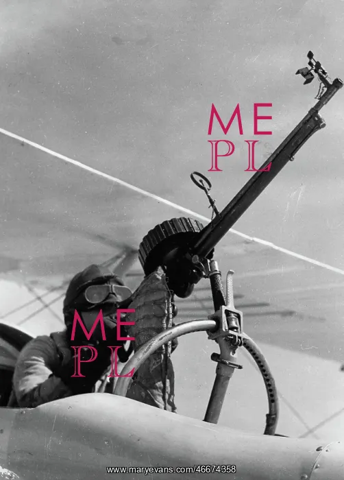 : An aircraft machine gun during a training : An aircraft machine gun during a training