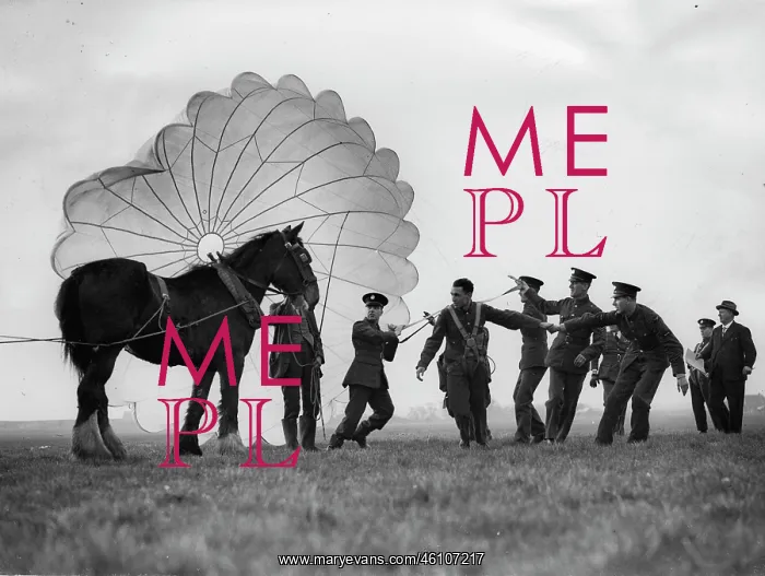 : Aircraft mechanics are taught in parachuting : Aircraft mechanics are taught in parachuting