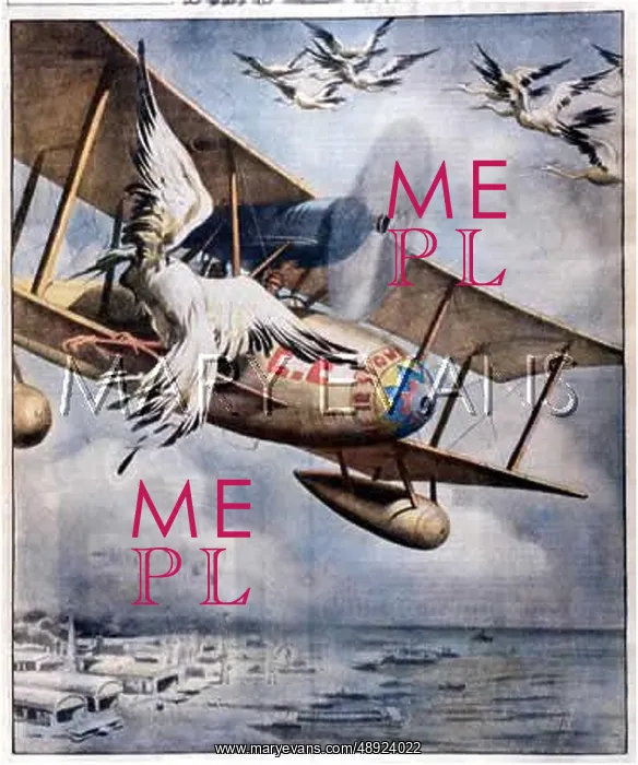 : AIRCRAFT AND STORKS : AIRCRAFT AND STORKS