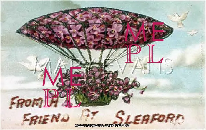  : AIRSHIP WITH FLOWERS