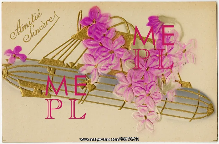 : AIRSHIP & FLOWERS C1905 : AIRSHIP & FLOWERS C1905