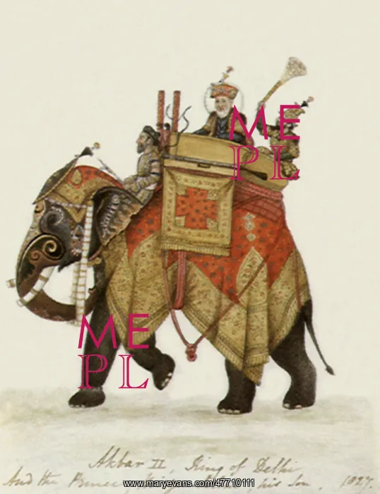  : Akbar and Son on Elephant