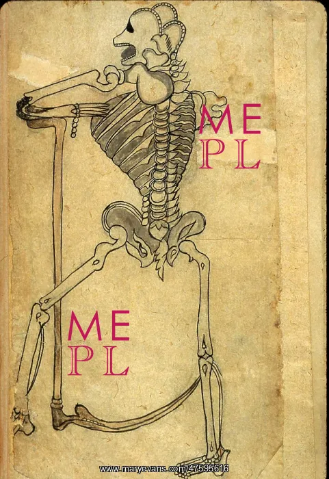 : Akbar's Medicine, Persian Anatomical Skeleton : Akbar's Medicine, Persian Anatomical Skeleton