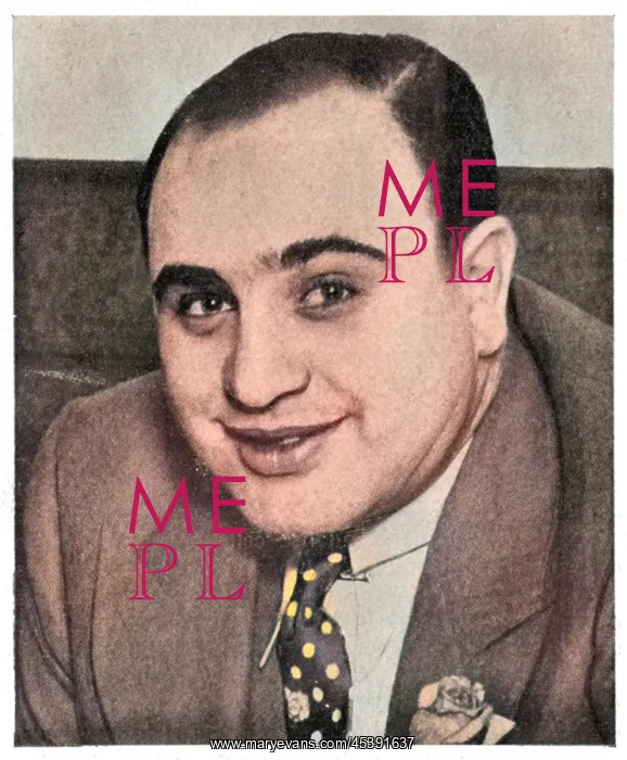 : Al Capone 1930 : Al Capone 1930