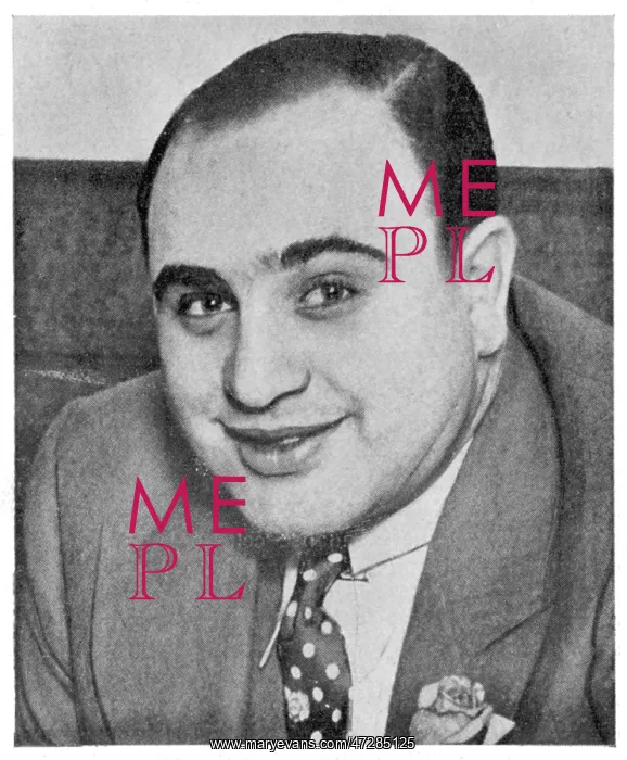 : Al Capone 1930 : Al Capone 1930