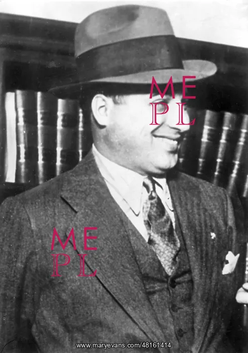 : Al Capone, 1935 : Al Capone, 1935