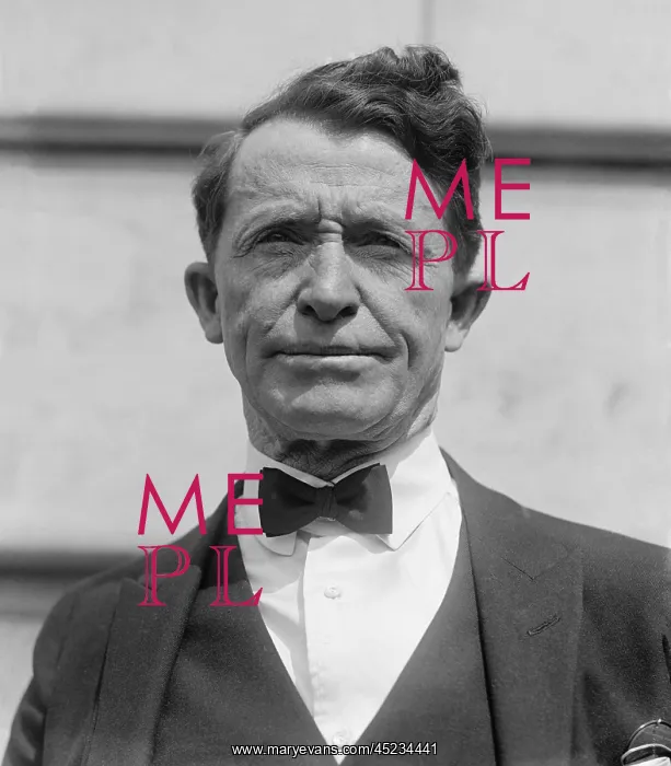 : Al Jennings (1863-1948) was an unsuccessful ? : Al Jennings (1863-1948) was an unsuccessful ?