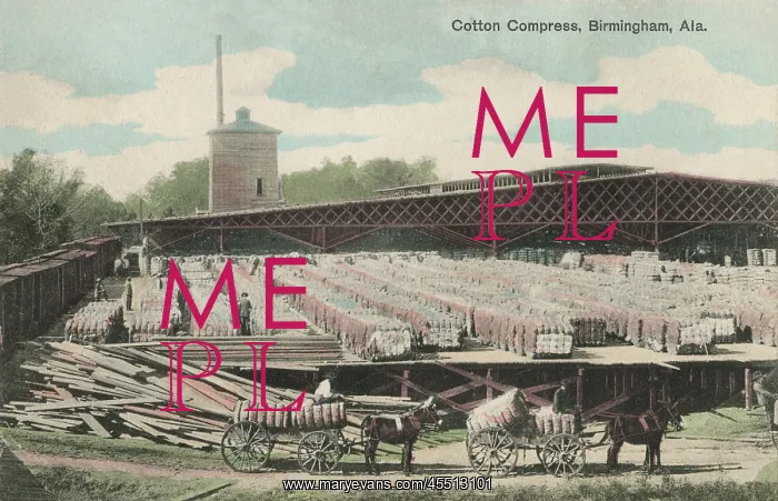: Alabama - Cotton Compress at Birmingham : Alabama - Cotton Compress at Birmingham