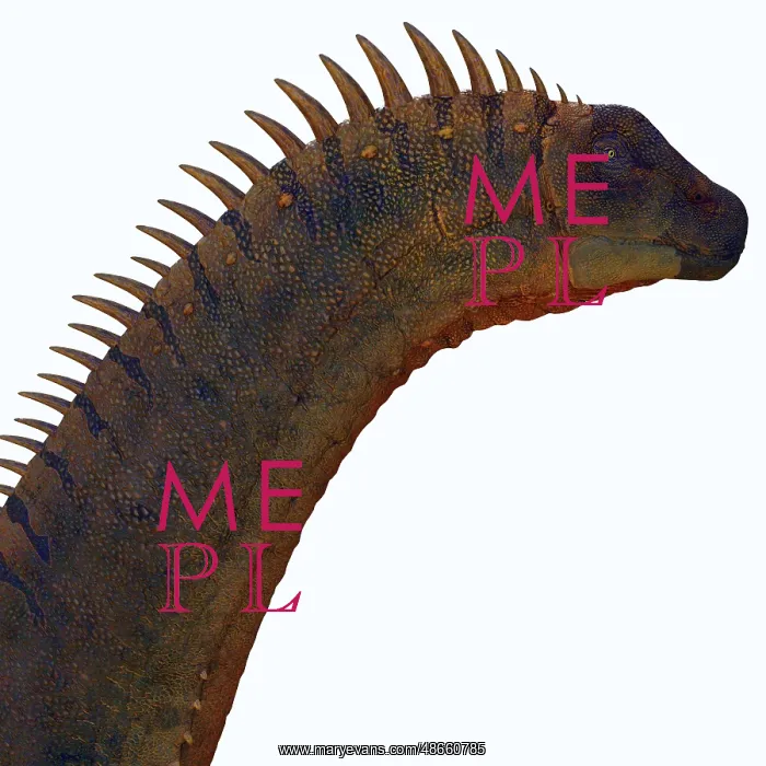 : Alamosaurus Dinosaur Head : Alamosaurus Dinosaur Head