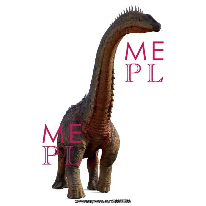 : Alamosaurus dinosaur, front view : Alamosaurus dinosaur, front view