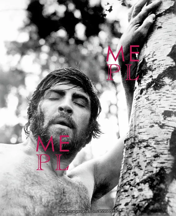 : Alan Bates - man - actor - celebrity - entertainment : Alan Bates - man - actor - celebrity - entertainment