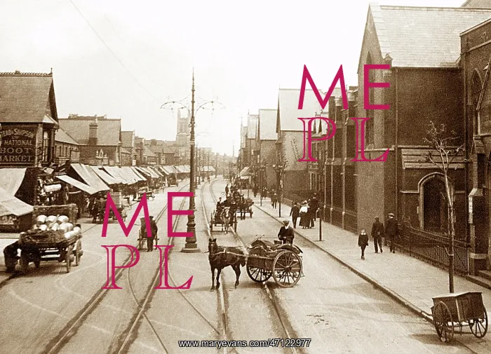  : Albany Road, Roath early 1900's