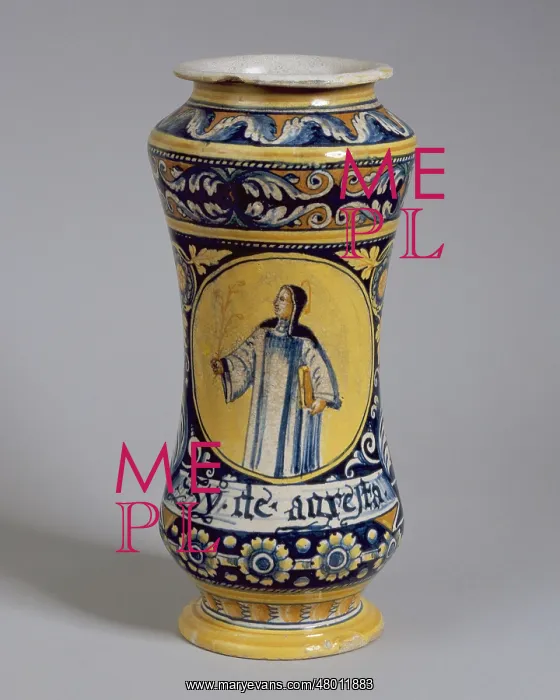 : Albarello vase : Albarello vase