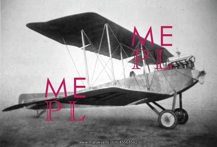 : Albatros BII (forward view, on the ground) : Albatros BII (forward view, on the ground)