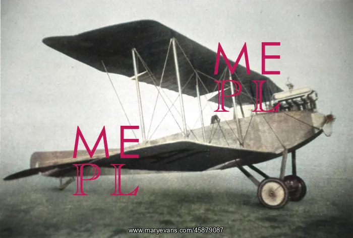 : Albatros BII (forward view, on the ground) : Albatros BII (forward view, on the ground)