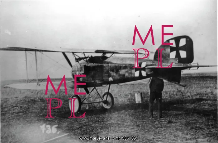 : Albatros D II German fighter plane : Albatros D II German fighter plane