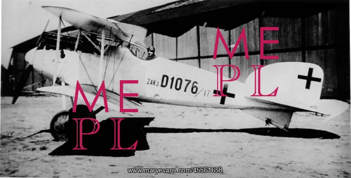 : Albatros D II German fighter plane : Albatros D II German fighter plane