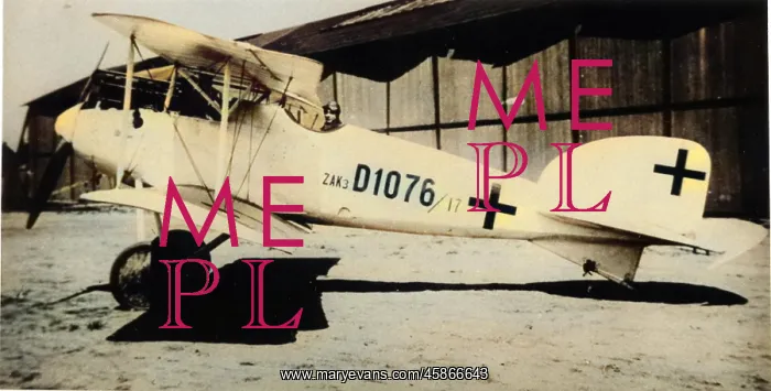 : Albatros D II German fighter plane : Albatros D II German fighter plane