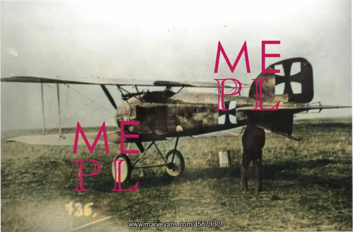 : Albatros D II German fighter plane : Albatros D II German fighter plane