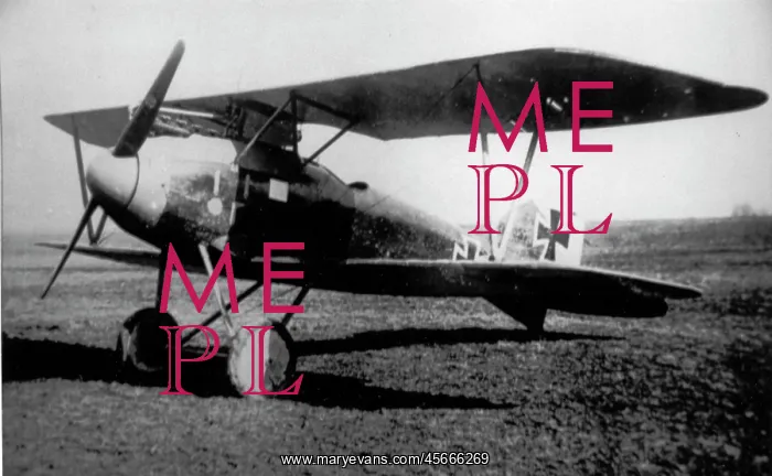 : Albatros D III German fighter biplane : Albatros D III German fighter biplane