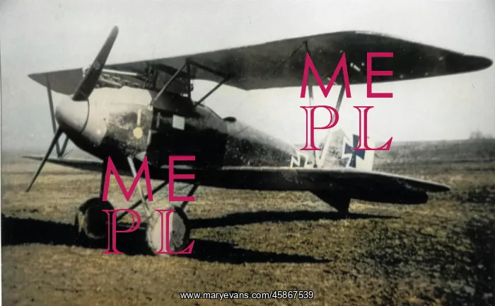: Albatros D III German fighter biplane : Albatros D III German fighter biplane