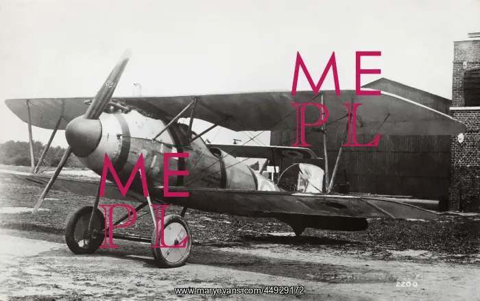 : Albatros D.V : Albatros D.V