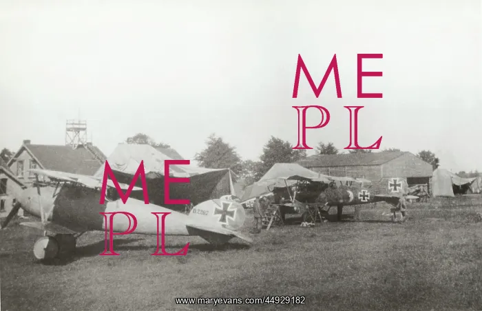 : Albatros D.V : Albatros D.V