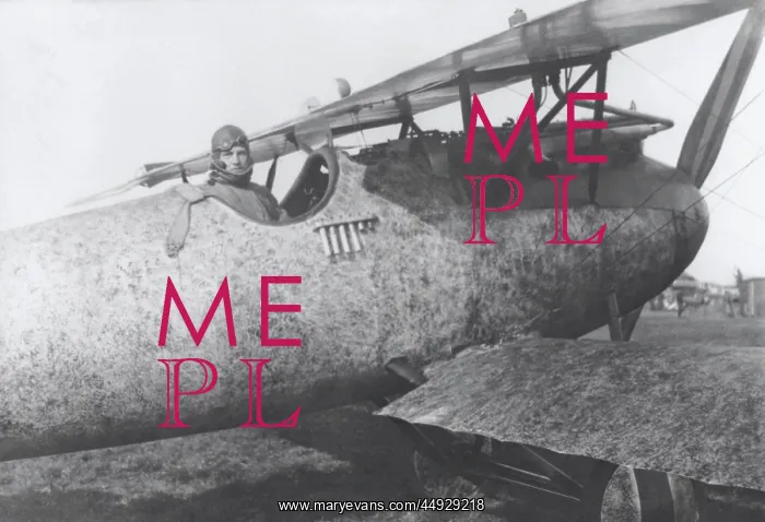 : Albatros D.V : Albatros D.V