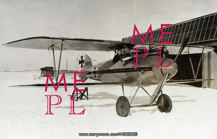 : Albatros D.V : Albatros D.V