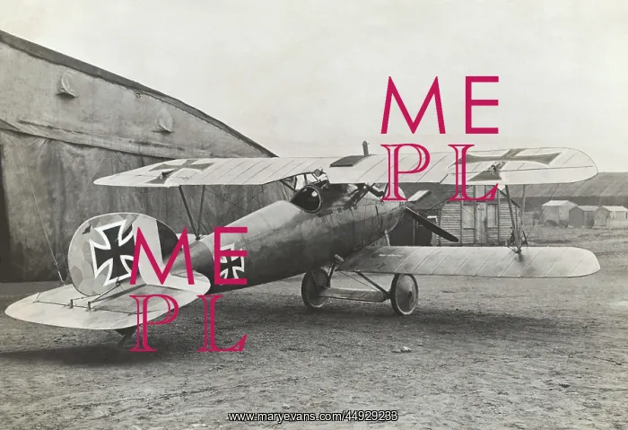 : Albatros D.V : Albatros D.V