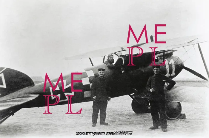 : Albatros D.V : Albatros D.V