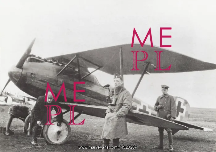 : Albatros D.V : Albatros D.V