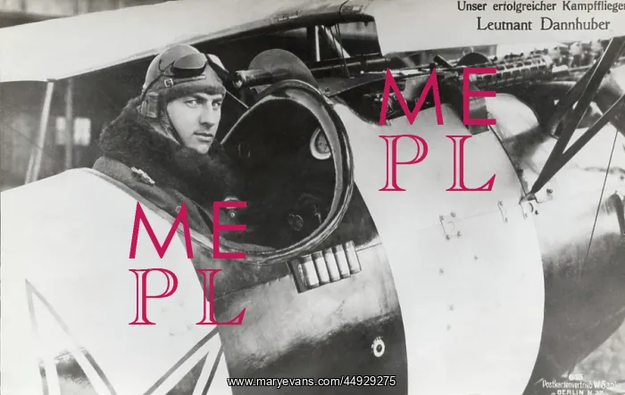 : Albatros D.V : Albatros D.V