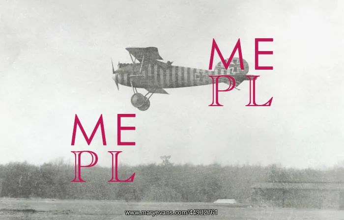 : Albatros D.V : Albatros D.V