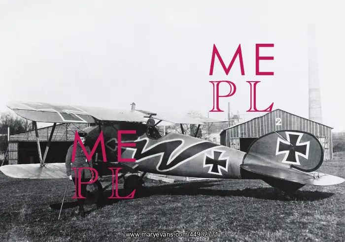 : Albatros D.V : Albatros D.V