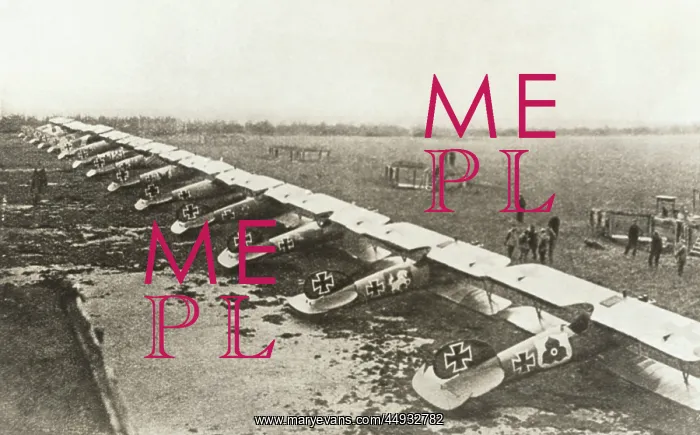 : Albatros D.V : Albatros D.V