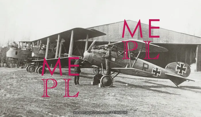 : Albatros D.V : Albatros D.V