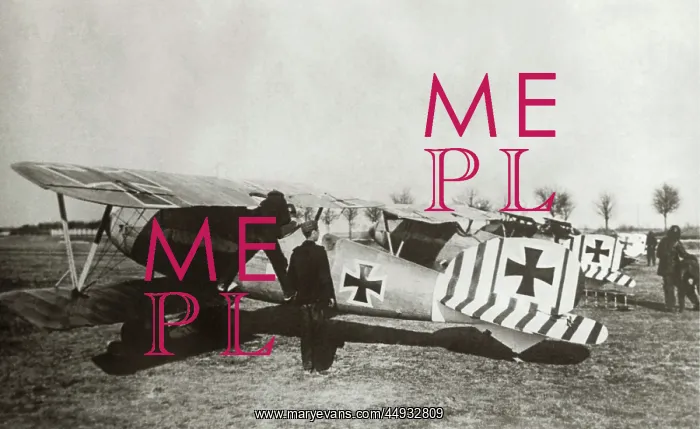 : Albatros D.V : Albatros D.V