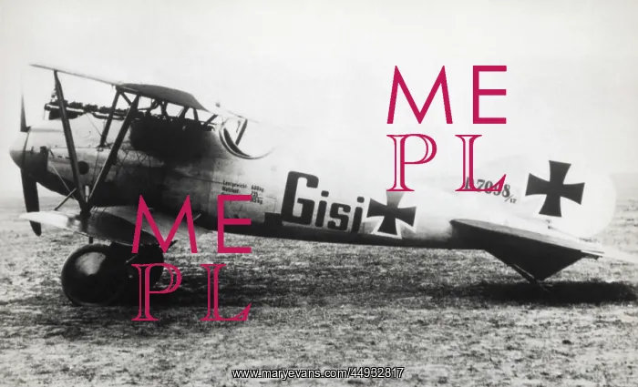 : Albatros D.V : Albatros D.V