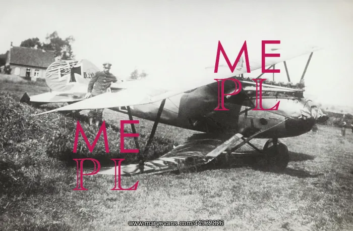 : Albatros D.V : Albatros D.V