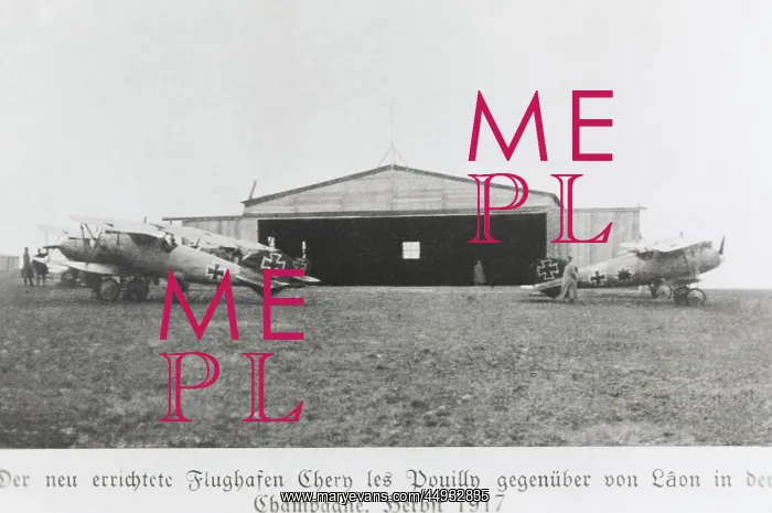 : Albatros D.V : Albatros D.V