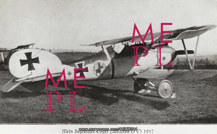 : Albatros D.V : Albatros D.V