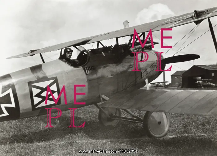 : Albatros D.V : Albatros D.V