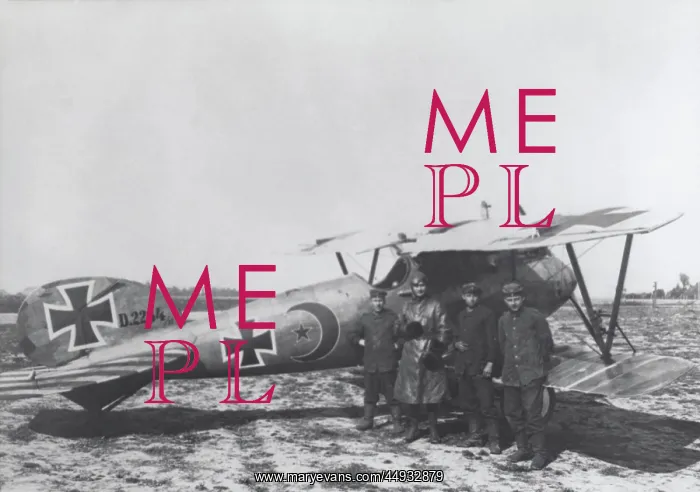 : Albatros D.V : Albatros D.V