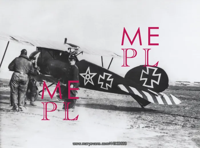 : Albatros D.V : Albatros D.V