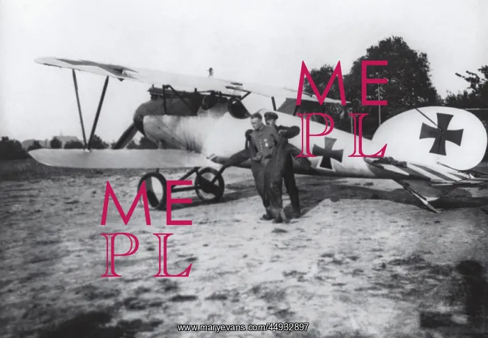 : Albatros D.V : Albatros D.V