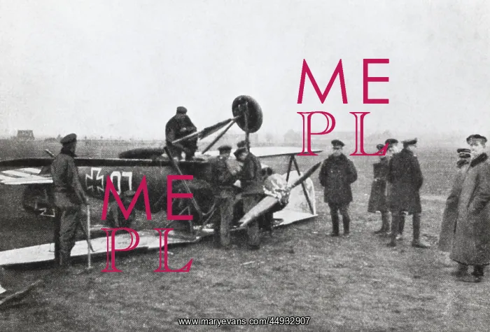 : Albatros D.V : Albatros D.V