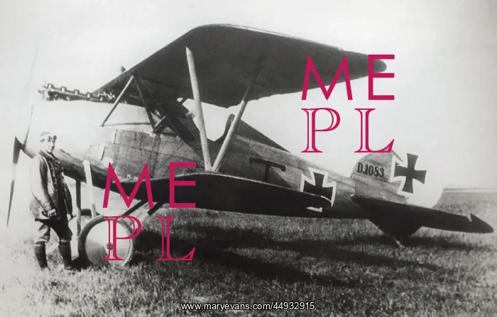 : Albatros D.V : Albatros D.V