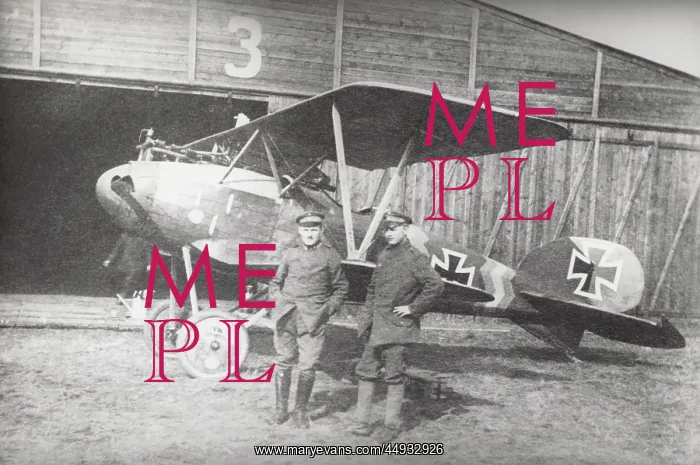 : Albatros D.V : Albatros D.V
